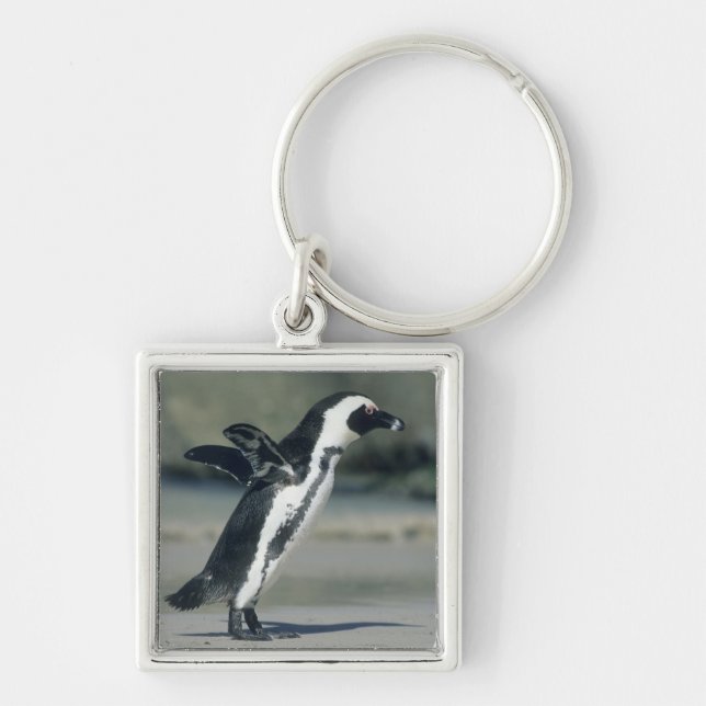 African Penguin Key Ring (Front)