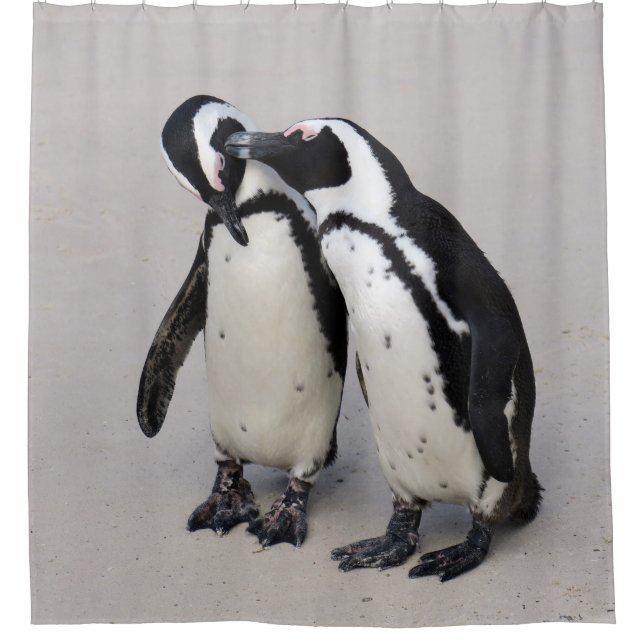 African Penguin Pair shower curtain (Front)