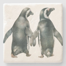 African Penguin Pair