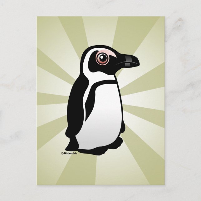 African Penguin Postcard (Front)