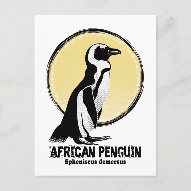 African penguin postcard (Front)