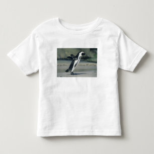African Penguin Toddler T-Shirt