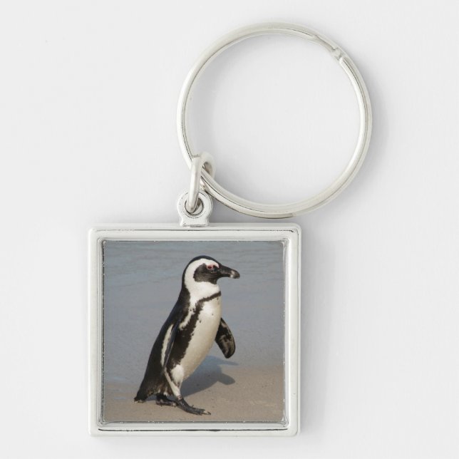 African Penguin Walking Key Ring (Front)