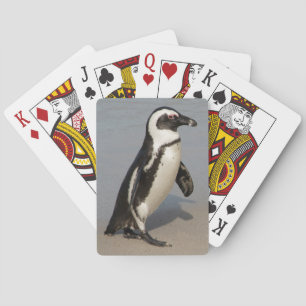 African Penguin Walking Playing Cards