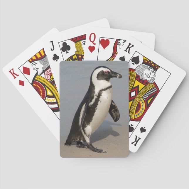 African Penguin Walking Playing Cards (Back)