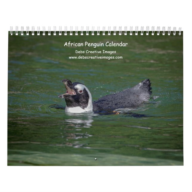 African Penguins 2026 Calendar (Cover)