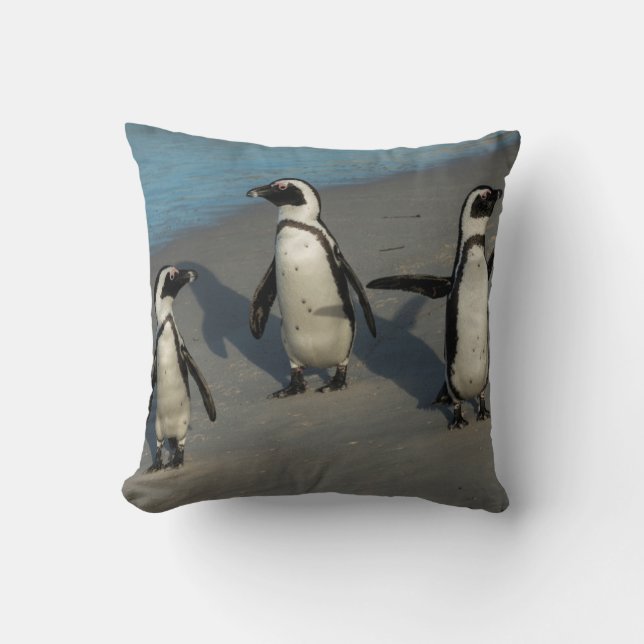 African Penguins | Spheniscus Demersus Cushion (Front)