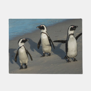 African Penguins   Spheniscus Demersus Doormat