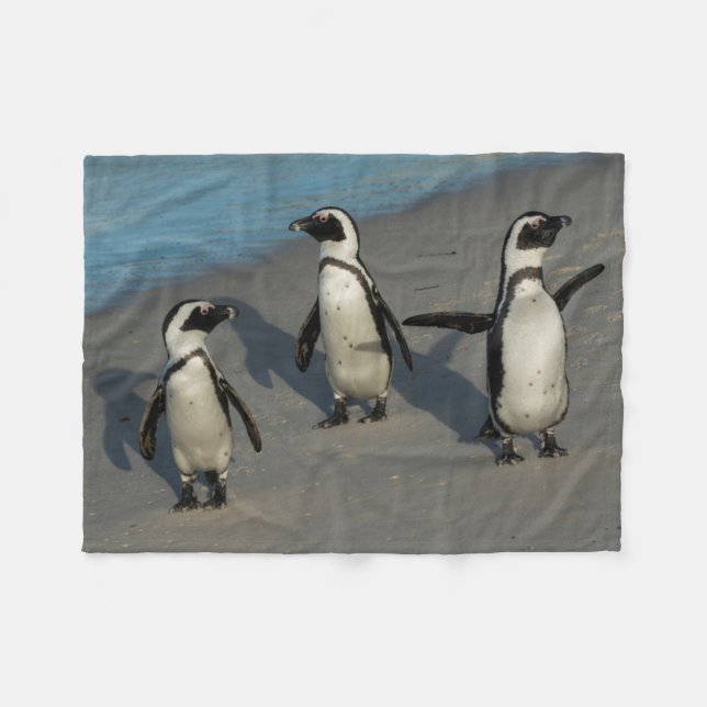African Penguins | Spheniscus Demersus Fleece Blanket (Front (Horizontal))