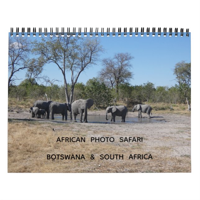 AFRICAN PHOTO SAFARI - BOTSWANA & SOUTH AFRICA  CALENDAR (Cover)