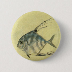 African Pompano Fish, Vintage Threadfin Trevally 6 Cm Round Badge