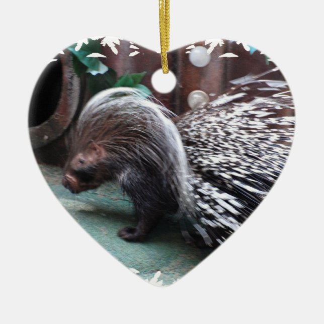 African Porcupine Ornaments (Front)