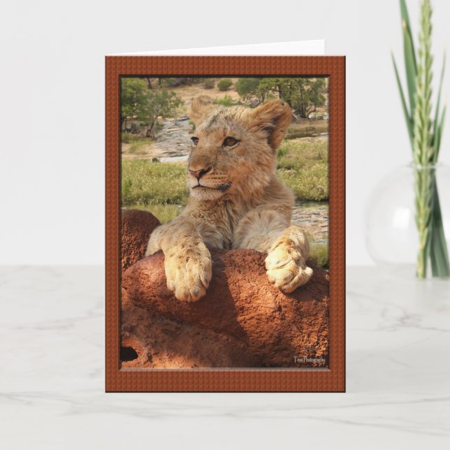 African Proverb Greeting Cards (Front)