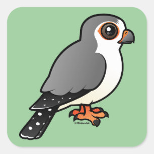 African Pygmy Falcon Square Sticker