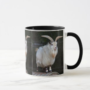 African Pygmy Goat Mug