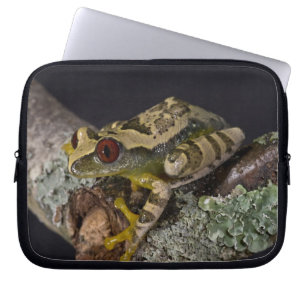 African Red Eye Treefrog, Leptopelis Laptop Sleeve