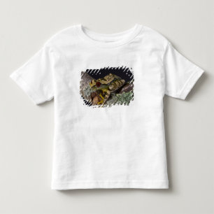 African Red Eye Treefrog, Leptopelis Toddler T-Shirt