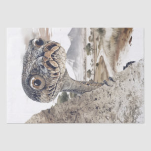 African Rock Python Caricature Peeking Safari Tissue Paper