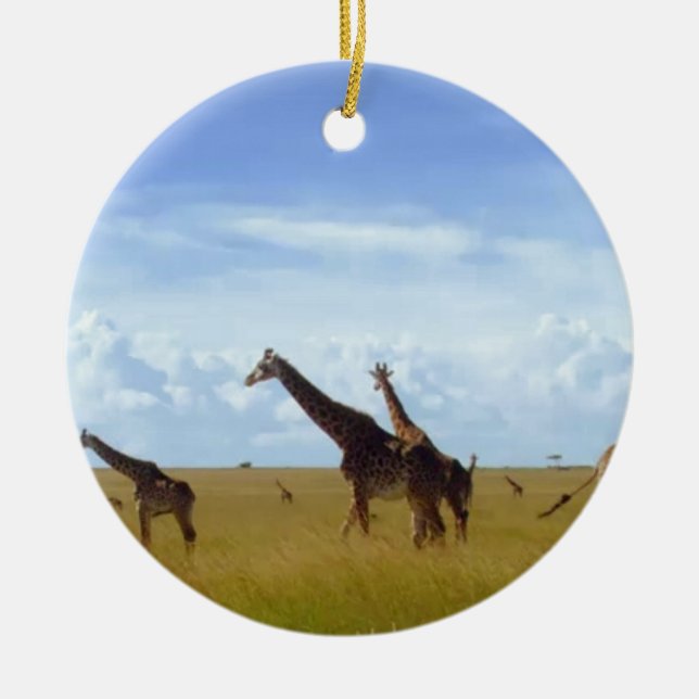 African Safari Giraffe: Kenya National Park   Ceramic Ornament (Front)