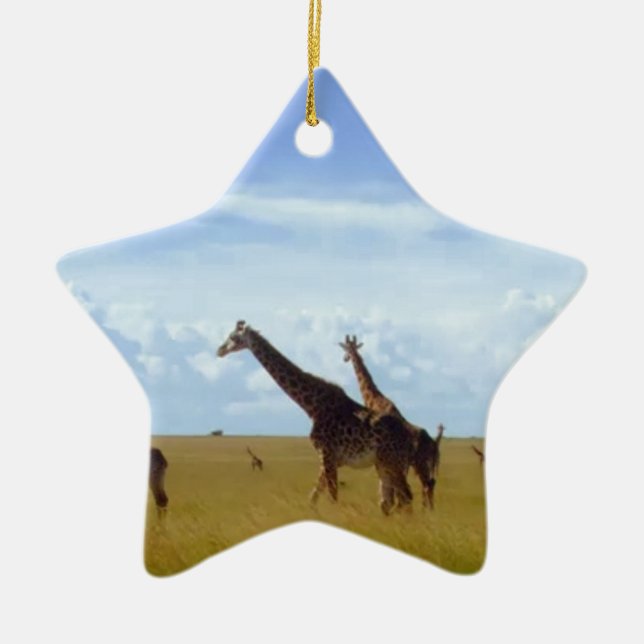 African Safari Giraffe: Kenya National Park   Ceramic Ornament (Front)