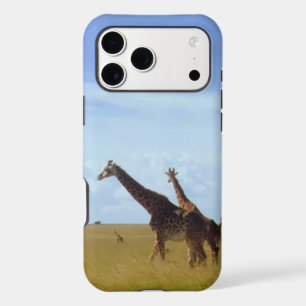 African Safari Giraffes