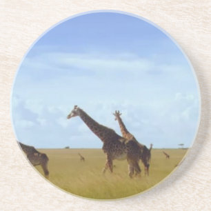 African Safari Giraffes Coaster