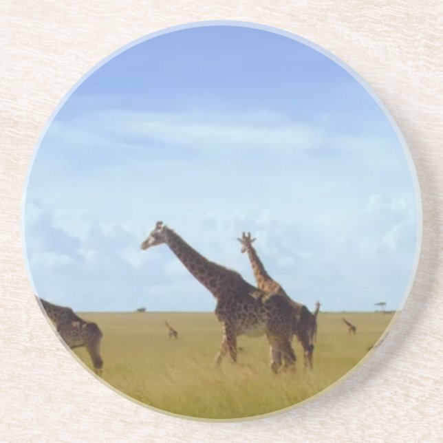 African Safari Giraffes Coaster (Front)