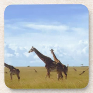 African Safari Giraffes Coaster