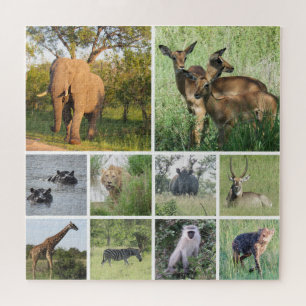 african safari jigsaw puzzle