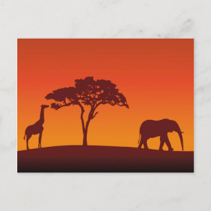 African Safari Silhouette - Postcard