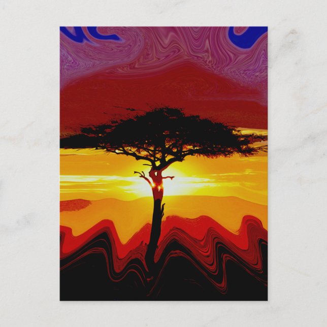 African Safari Sunset  Postcard (Front)