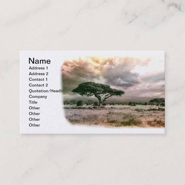 African Sahara Serengeti Savannah National Park Business Card (Front)