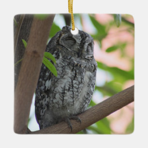 African Scops owl sleeping in a tree Ceramic Ornament
