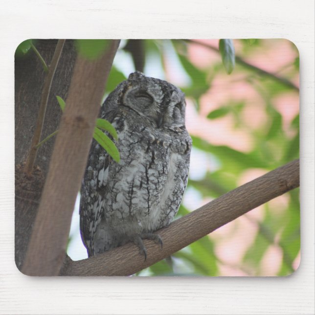 African Scops owl sleeping in a tree Mouse Pad (Front)