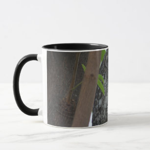 African Scops owl sleeping in a tree Mug