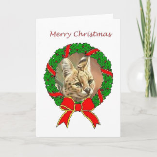 African Serval Christmas Card