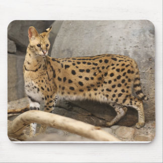 African Serval Stylish and functional Mouse Pad