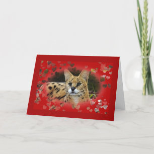 African Serval Valentine Greeting Card & Note Card