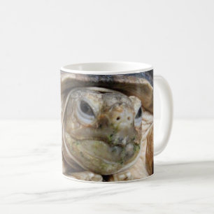African Spurred Tortoise, Sulcata Tortoise Face Coffee Mug