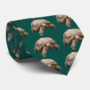African spurred tortoise tie