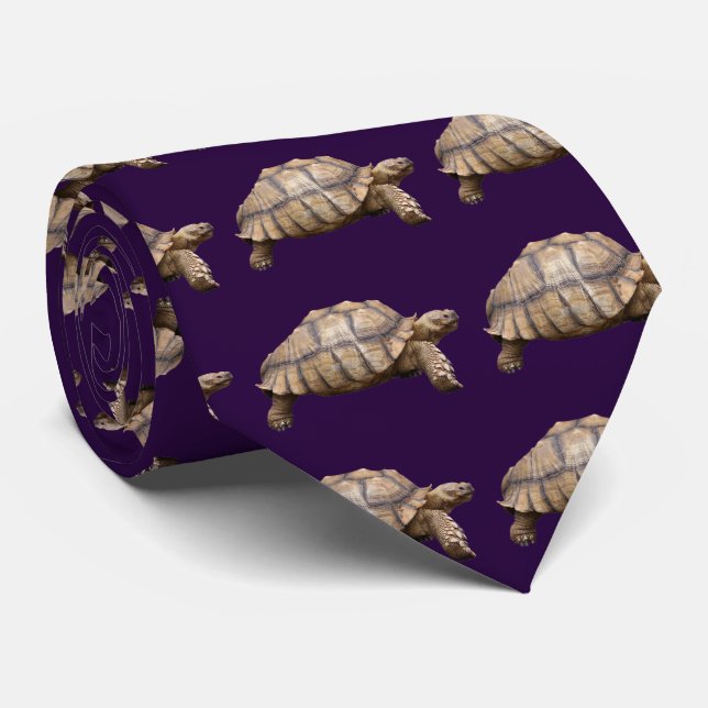 African spurred tortoise tie (Rolled)