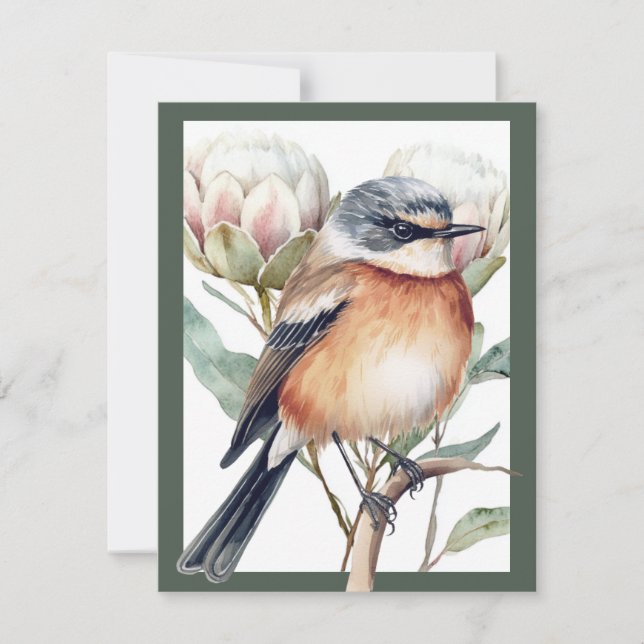 African Stonechat Bird (Front)