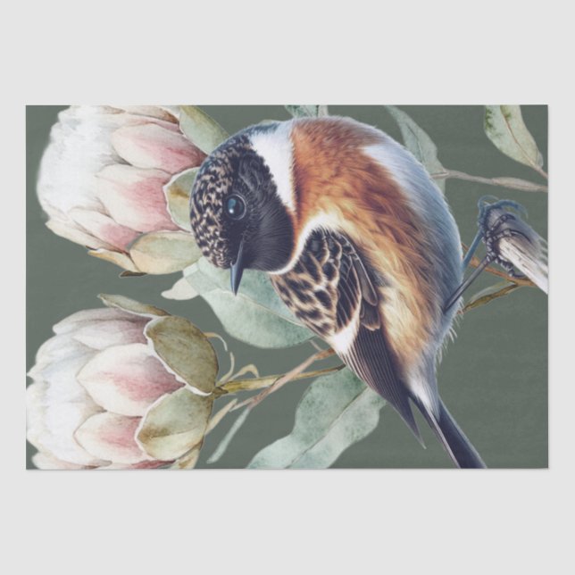 African Stonechat Bird Tissue Paper (Front)