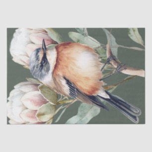 African Stonechat Bird Tissue Paper
