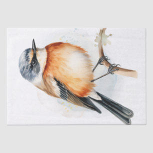 African Stonechat Bird Tissue Paper