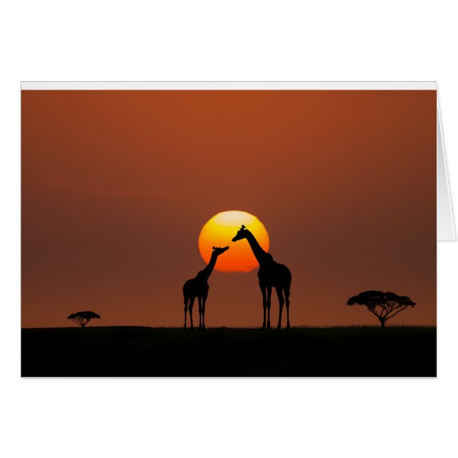 African Sunset (Front Horizontal)
