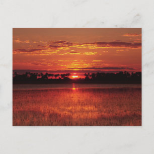 African sunset Botswana postcards