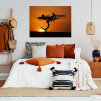 African sunset orange and black