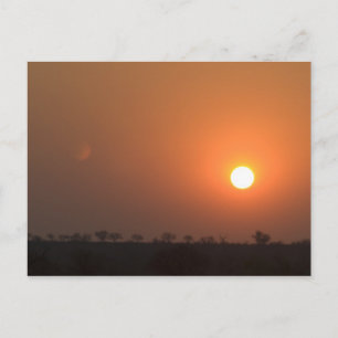 African Sunset Postcard