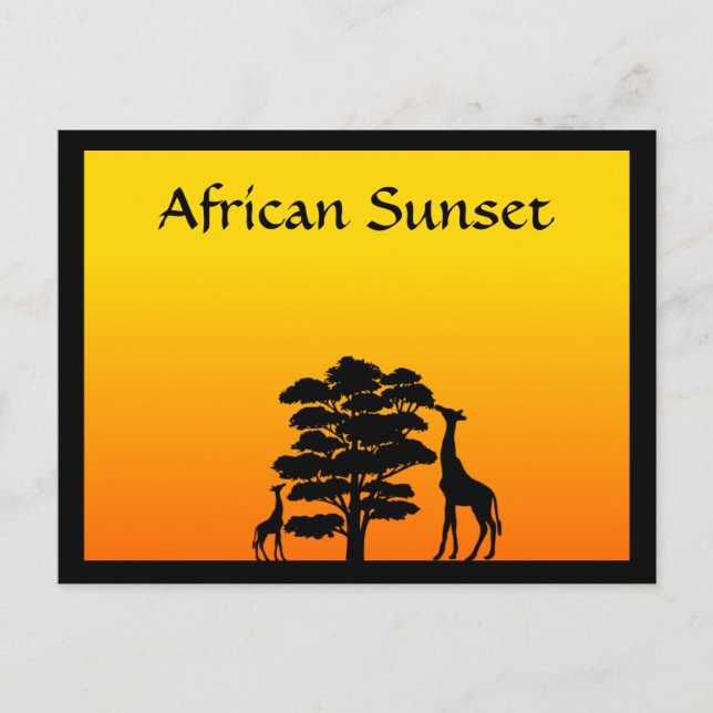 African Sunset Postcard (Front)